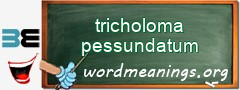 WordMeaning blackboard for tricholoma pessundatum